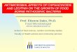 ANTIMICROBIAL EFFECTS OF CAPSAICINOIDS AND … · ANTIMICROBIAL EFFECTS OF CAPSAICINOIDS AND LECITHIN ON THE GROWTH OF FOOD BORNE PATHOGENIC BACTERIA. Prof. Etienne Dako, Ph.D. 