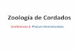 Zoología de Cordados - Benemérita Universidad cmas.siu.buap.mx/portal_pprd/work/sites/biologia/resources... · PDF filealgunas especies tubular en determinadas partes. Sin embargo,
