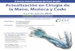 II Curso Internacional de Post Grado Actualización en ... afiche y prog... · Artroscopia de Muñeca. Presidente Congreso Europeo de Cirugía de la Mano 2016. España Dr. Jeffrey