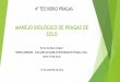 MANEJO BIOLÓGICO DE PRAGAS DE SOLO - …gebio.com.br/site/wp-content/uploads/2016/08/Dia1_pragassolo... · manejo biolÓgico de pragas de solo enrico de beni arrigoni enrico arrigoni