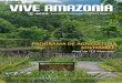 PROGRAMA DE AGRICULTURA SOSTENIBLE - …acca.org.pe/wp-content/uploads/2016/07/Vive-Amazonía-7-Julio-2016... · hemos sembrado Huacatay y vainita. ... implementar el cultivo de