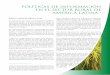 POLÍTICAS DE INFORMACIÓN EN EL SECTOR … · * Texto tomado de Octavio Sotomayor, Adrián Rodríguez y Mónica Rodrigues. “Competitividad, sostenibilidad e inclusión social en