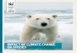 IMPACT OF CLIMATE CHANGE ON SPECIES - Pandaawsassets.panda.org/downloads/impact_of_climate_change_on_spe… · WHAT IMPACT DOES CLIMATE CHANGE HAVE ON SPECIES? Acidiﬁcation of the