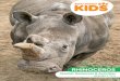 RHINOCEROS - sdzsafaripark.org · 5 A rhino dies of natural causes. Take o a blue bead (a rhino). 7 A female rhino gives birth. Add a blue bead (a rhino). Chance Cards Cut apart and