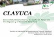 Consorcio Latinoamericano y del Caribe de Apoyo a la ...lac.harvestplus.org/wp-content/uploads/2015/02/Avances_tecnologias... · Pan con harina de yuca Croquetas de yuca Jugo de batata