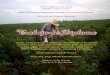 Evaluación de 3 clones de yuca (Manihot esculenta …roa.ult.edu.cu/bitstream/123456789/980/1/Eduardo Agueda Alvarez.pdf · el área plantada de yuca es poco considerada ... harina