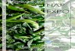 NAPEXPO.ORG/2016 NAP EXPO - UNFCCCunfccc.int/files/.../pdf/nap_expo_2016-12-07_updated_programme.pdf · EXPO ADVANCING NATIONAL ADAPTATION ... reach the main entrance pa-vilion of