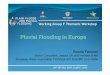 Pluvial Flooding In Europe - isprambiente.gov.it · Pluvial Flooding is flooding as a result of heavy rainfall when water which does not infiltrate the ground ponds in natural or