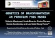 Genetics of brachygnathism in Peruvian Paso Horseold.eaap.org/Previous_Annual_Meetings/2010Crete/Papers/19... · GENETICS OF BRACHYGNATHISM IN PERUVIAN PASO HORSE ... Registro Genealógico
