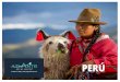 NUESTRAS SUGERENCIAS · 2017-06-13 · de sol, sombrero, binoculares, traje de adherente. GASTRONOMÍA La gastronomía peruana es reconocida ... donde el conquistador Francisco Pizarro