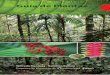 Guía de Plantas - pmbcamisea.coma-de-plantas_PMB.pdf · Mapa de unidades de paisaje / Mapa apatogetakara timagetatsirira ... Glosario Niagantsi komugetankicharira Índice de especies