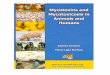 Mycotoxins and Mycotoxicosis in Animals and Humans and mycotoxicosis in... · Mycotoxins and Mycotoxicosis in Animals and Humans 3 ALBERTO GIMENO MARIA LIGIA MARTINS Mycotoxins and