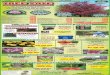 Your Plant Place Just ask! TREE SALEwedels.com/wp-content/uploads/2016/06/7698325-02.pdf · Deciduous tree regular price $70 or more $1$100 OfOfff $30 Off On any Deciduous tree regular