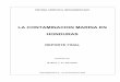 LA CONTAMINACION MARINA EN HONDURAS - … Contaminacion Marina... · LA CONTAMINACION MARINA EN HONDURAS REPORTE FINAL M.Marin ... Este documento constituye el primer borrador de