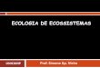 Ecologia de Ecossistemas Ecologia Vegetal - .â€¢elementos (sistema el©trico, motor, chassis, rodas