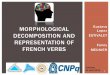 Morphological decomposition and representation of french verbslexicodoportugues.com/...regularity_french_verbs_potsdam_2013.pdf · 2 1ST STUDY: VERBAL MORPHOLOGICAL DECOMPOSITION