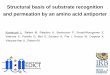 Structural basis of substrate recognition and … · Structural basis of substrate recognition and permeation by an amino acid antiporter. Kowalczyk L, Ratera M, Paladino A, Bartoccioni