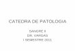CATEDRA DE PATOLOGIA - Blog 5 Semestre … · • Crisis aplásica: cae función medular, desencadenada por infección por parvovirus. Amenaza la vida del paciente. ... • Priapismo