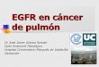EGFR en cáncer de pulmón - · PDF fileDesde Septiembre a Mayo 8 reuniones sobre EGFR Hay un kit diagnóstico Ese kit diagnóstico falla en algo ¿Qué es eso de la T790M? ¿Empiezo