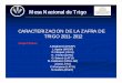 Mesa Nacional de Trigo - mgap.gub.uy · Mesa Nacional de Trigo DECRETO Nº 25/998 DEL 28/01/98 GRADO 1 2 3 Peso hectolítrico (Kg/hl) mín. 79 76 73 ... Resolución MGAP s/n 2/2002)