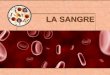 LA SANGRE - iespoetaclaudio.centros.educa.jcyl.esiespoetaclaudio.centros.educa.jcyl.es/sitio/upload/sangre__3eso.pdf · GRUPOS SANGUÍNEOS . Los tejidos vasculares. En Es furraros