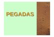 PEGADAS - fc.up.pt .Pegadas de carn­voros (mustel­deos): Pegadas Marta Martes martes Fuinha Martes