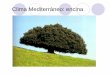 Clima Mediterráneo: encina - · PDF fileClima Oceánico: bosque de robles en otoño. Clima oceánico: bosque caducifolio en invierno. Clima oceánico: río Rhin. Clima Continental: