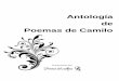 Antología de Poemas de Camilo · A LA CATEDRAL DE PALENCIA - (España) Página 7/489. Antología de Poemas de Camilo ... AL SILENCIO DE UNA ESTRELLA UN …