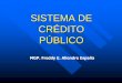 SISTEMA DE CRÉDITO PÚBLICO - Podran conocer más de ... · Efectuar el seguimiento y evaluación de las ... Sistema de Crédito Público Sistema de Programación de Operaciones