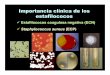 Importancia clínica de los estafilococosdepa.fquim.unam.mx/bacteriologia/20082/staph0905.pdf · En quienes se han instalado sondas, ... Estafilococcias más frecuentes ... mia, neumonía,