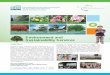 Environment and Sustainability Services - cedd.gov.hk · 2 Before After Greening works at central median of Yuen Wo Road, Sha Tin Greening works at breakwater near Sam Shing Estate,