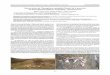 Nuevos datos de Thyreophora cynophila (Panzer) de la ...sea-entomologia.org/PDF/Boletin54/428429BSEA54... · Abstract: New observations and records of the piophilid Thyreophora cynophila