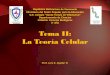 Tema II: La Teoría Celular - biologiasi.weebly.combiologiasi.weebly.com/uploads/4/0/1/0/40103559/tema_ii_teora... · Tema II: La Teoría Celular ... Robert Hooke (siglo XVII) observando