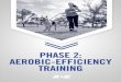 PHASE 2: AEROBIC-EFFICIENCY TRAINING - ACE … · So why does ACE use the talk test? In an article presenting ACE-sponsored research, Carl Foster, Ph.D., ... Under the instruction