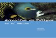 Arrecifes en Peligro - wri.org · Derechos de reproducción ... Impreso en los Estados Unidos de América sobre papel ... titud de plantas y animales únicos. La mayoría de los países