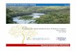 Proyecto Hidroeléctrico Piedra Cajón - mem.gob.ni · pluvial oscila entre 2700 a 2900 mm. Las condiciones hidrológicas del sitio del proyecto, se presentan a continuación: 