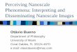 Perceiving Nanoscale Phenomena: Interpreting and Disseminating ... Perceiving Nanoscale Phenomena: