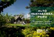 ALTO HUAYABAMBA, - Pur Projetaccounts.purprojet.net/upload/_documents/15_01_Alto_Huayabamba... · Bolaina Guazuma Crinita sterculaceae Native very high 41 10 12 to 15 0,52 ... VCS