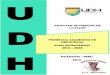 PLAN ESTRATEGICO 2016 - 2020 Hsalud.sgc.udhvirtual.com/doc/1.OBSTETRICIA PLAN... · II. VISION Y MISION DE LA ESCUELA PROFESIONAL III. DIAGNOSTICO ESTRATEGICO IV. OBJETIVOS, POLITICAS,
