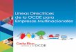 Líneas Directrices de la OCDE para Empresas … · Conceptos I. y principios Las Directrices son recomendaciones dirigidas conjuntamente por los gobiernos a las empresas multinacionales
