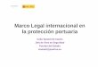Marco Legal internacional en la protección portuaria internacional normativa... · Secretario General de Transportes del Ministerio de Fomento. • cumple con todos los requisitos