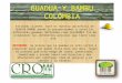PORTAFOLIO GUADUA .PPT file  Web view2014-08-04  Guadua Comn y Seleccionada. GUADUA COMUN: