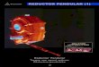 REDUCTOR PENDULAR (1) - beltranroig.combeltranroig.com/.../files/productos/28-31_Reductor_pendular.pdf · REDUCTOR PENDULAR (1) Reductor Pendular Torque arm speed reducer Reducteur