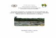 Sucesión primaria y ecología de la revegetación de selvas ...uvadoc.uva.es/bitstream/10324/19089/1/Tesis1124-160921.pdf · grado de vulnerabilidad potencial de los bosques del