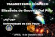 MAGNETISMO C“SMICO ElisaBete de Gouveia Dal .em campos magneticos nas vizinhancas de buracos negros