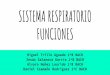 SISTEMA RESPIRATORIO FUNCIONES - …anatomia1bach.weebly.com/.../funciones_sistema_respiratorio.pdf · función de los bronquios Una de las funciones primarias de los bronquios, es