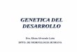GENETICA DEL DESARROLLO - .1. genes hox 2. genes pax 3. genes notch 4. genes wnt 5. genes hedgehog