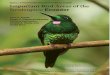 >> FEATURE IMPORTANT BIRD AREAS OF THE NEOTROPICS: ECUADOR ... · >> FEATURE IMPORTANT BIRD AREAS OF THE NEOTROPICS: ... Heliodoxa imperatrix can be found at Los ... IMPORTANT BIRD