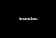 insectos - trevisano.orgtrevisano.org/pdf/vocab/200/insectos.pdf · circo de pulgas. circo de pulgas la pulga. hasta la rodilla de. hasta la rodilla de el saltamonte. Created Date: