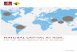NATURAL CAPITAL AT RISKnaturalcapitalcoalition.org/wp-content/uploads/2016/07/Trucost-Nat... · Natural capital The finite stock of natural assets (air, water and land) from which